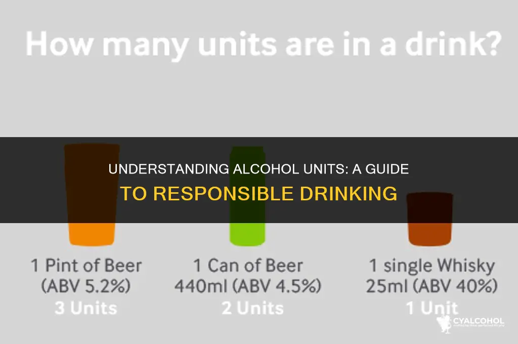 what is 10 units of alcohol
