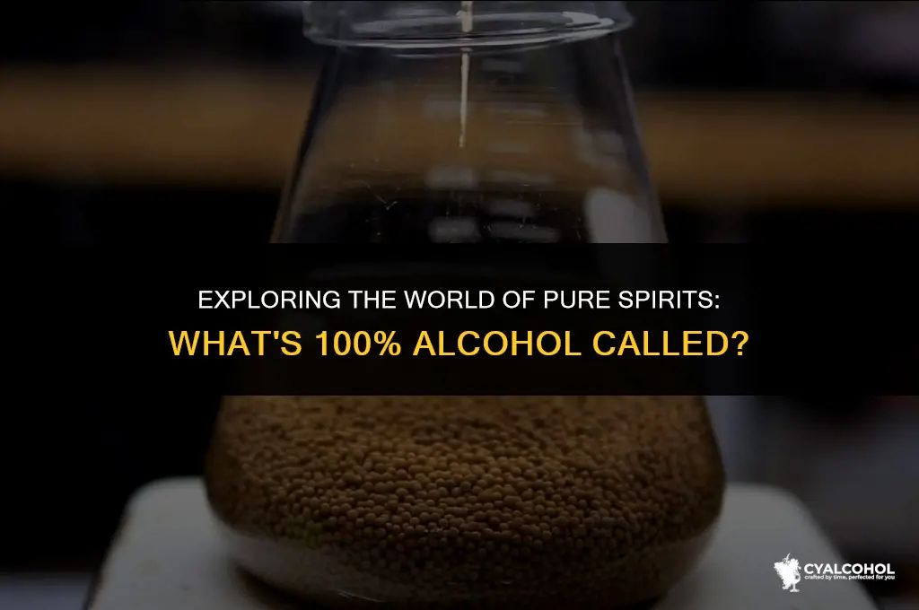 what is 100 percent alcohol called