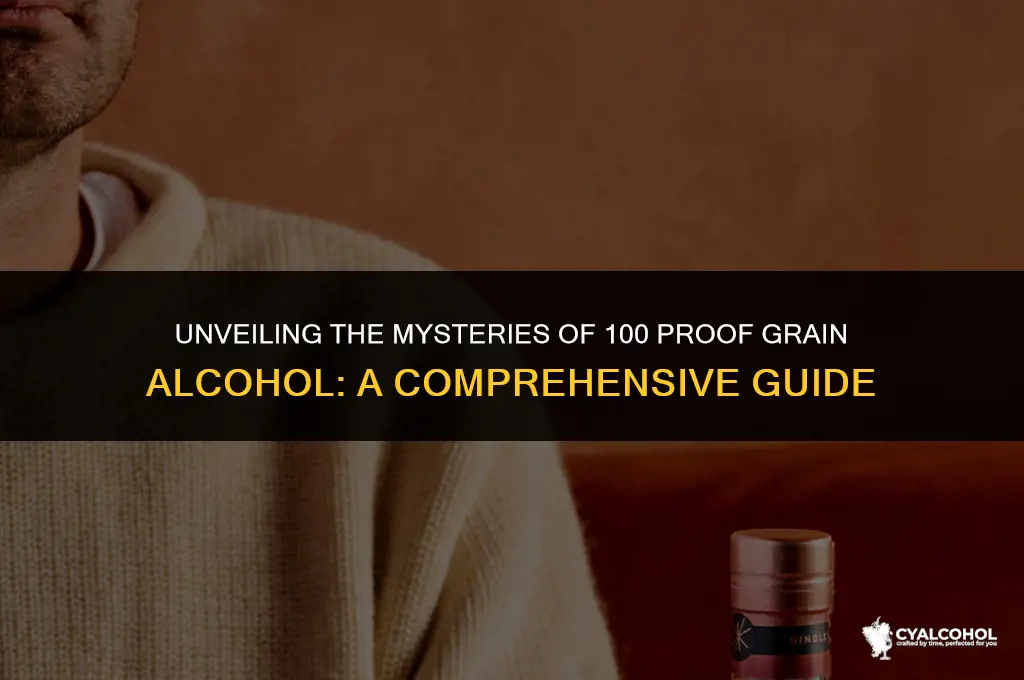 what is 100 proof grain alcohol