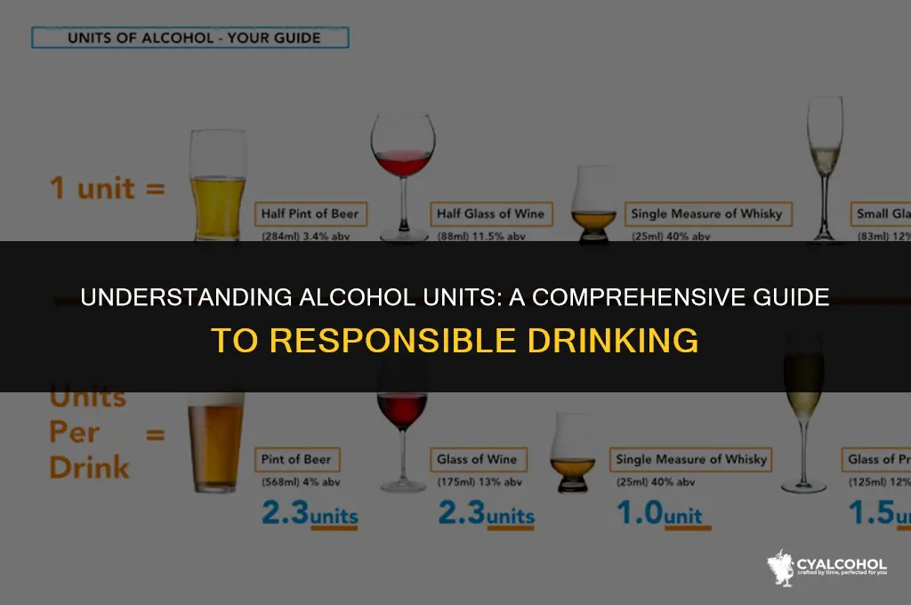 what is 100 units of alcohol