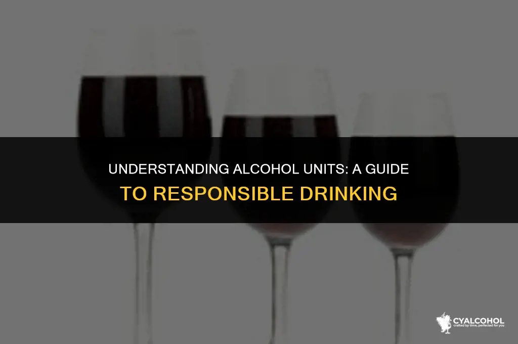what is 12 units of alcohol