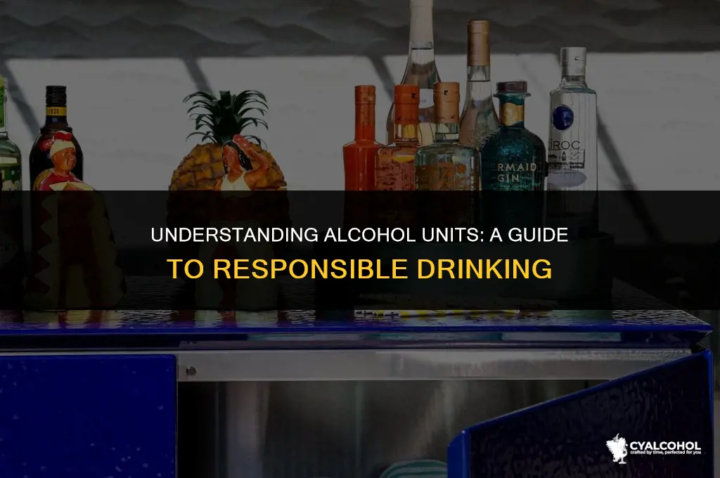 what is 120 units of alcohol