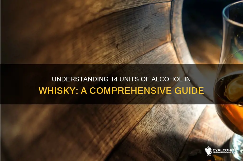 what is 14 units of alcohol in whisky