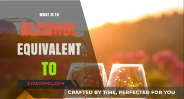 Understanding Alcohol Equivalence: A Guide to Responsible Consumption