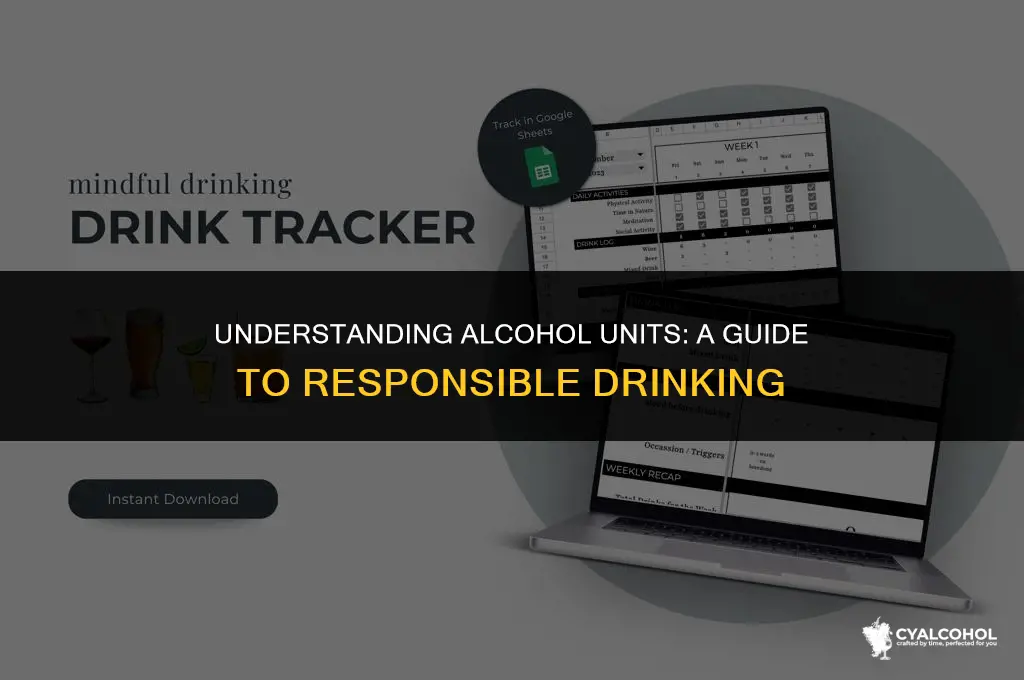 what is 15 units of alcohol