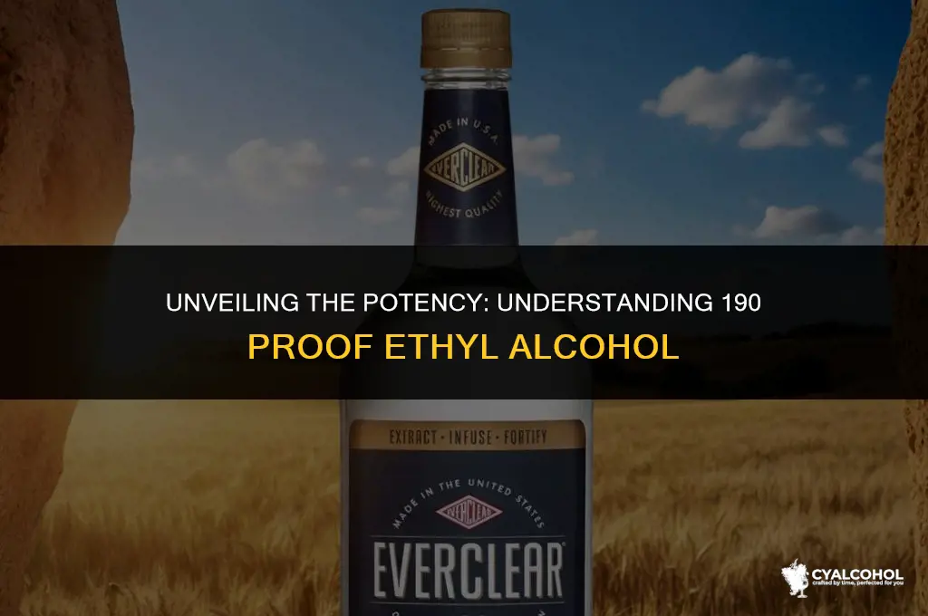 what is 190 proof ethyl alcohol
