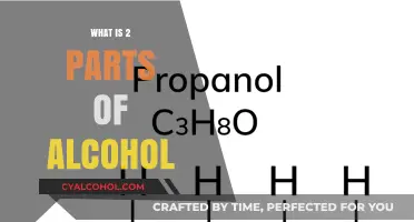 Understanding Alcohol: A Breakdown of Its Key Components