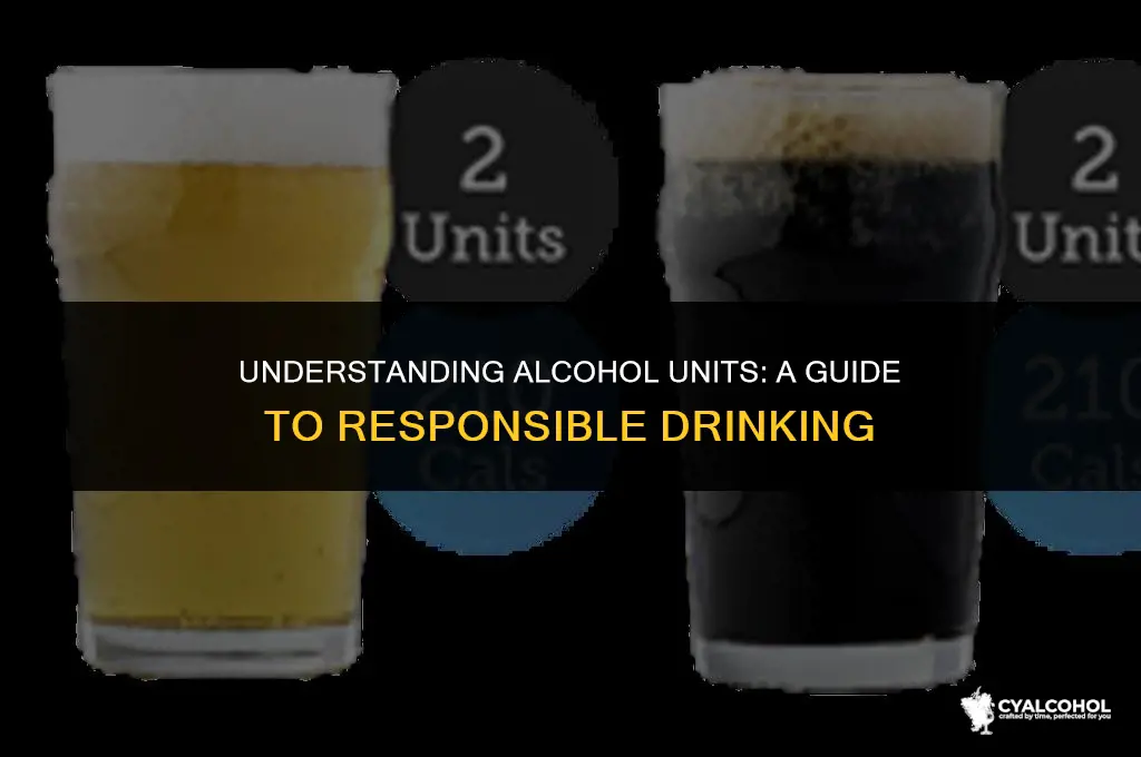 what is 2 units of alcohol