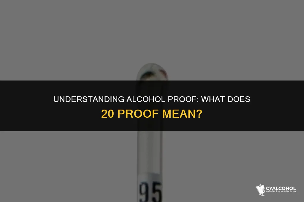 what is 20 alcohol in proof