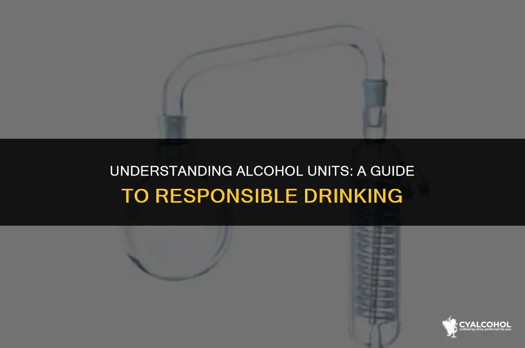 what is 20 units of alcohol