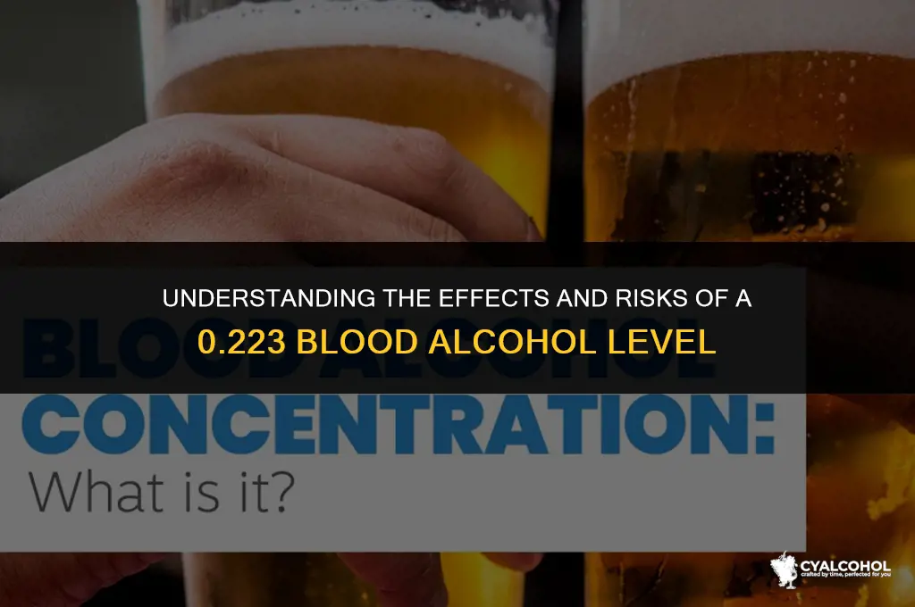 what is 223 blod alcohol level