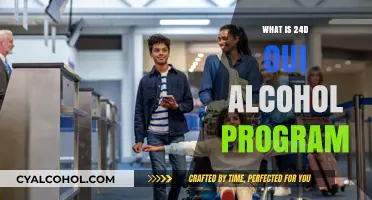 Understanding the 24D OUI Alcohol Program: A Comprehensive Guide