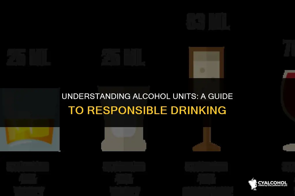 what is 25 units of alcohol