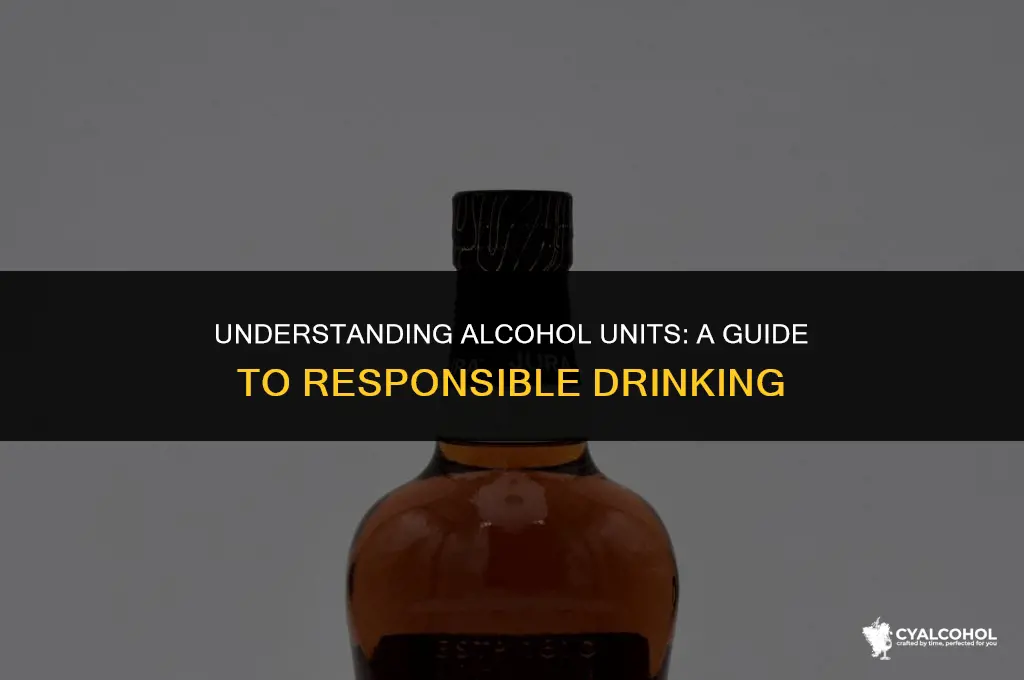 what is 28 units of alcohol