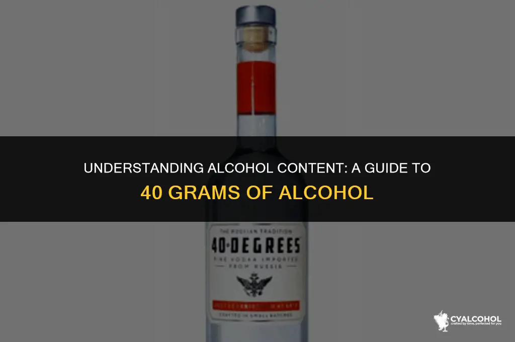what is 40 grams of alcohol