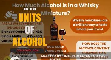 Understanding Alcohol Units: A Guide to Responsible Drinking