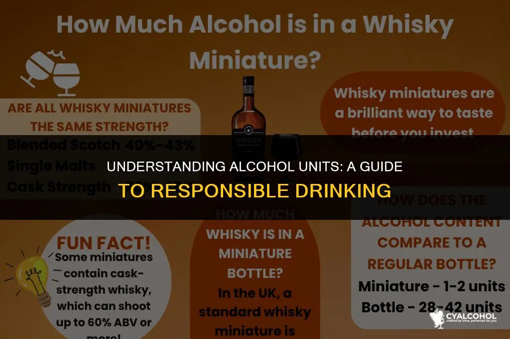 what is 40 units of alcohol