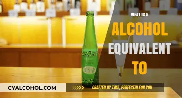 Understanding Alcohol Equivalents: A Guide to Responsible Drinking