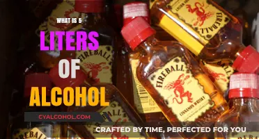 Exploring the Effects and Uses of 5 Liters of Alcohol