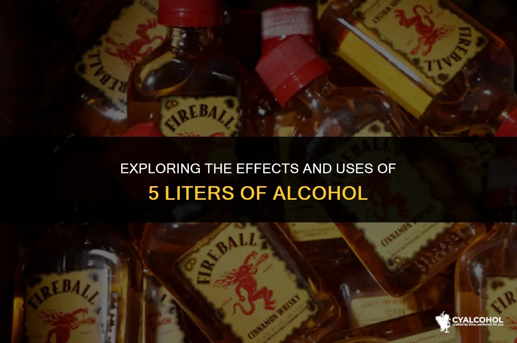 what is 5 liters of alcohol