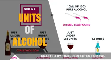 Understanding Alcohol Units: A Guide to Responsible Drinking