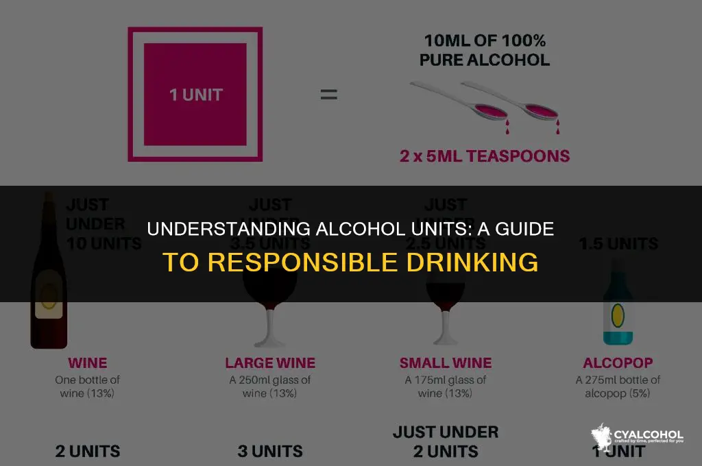 what is 5 units of alcohol