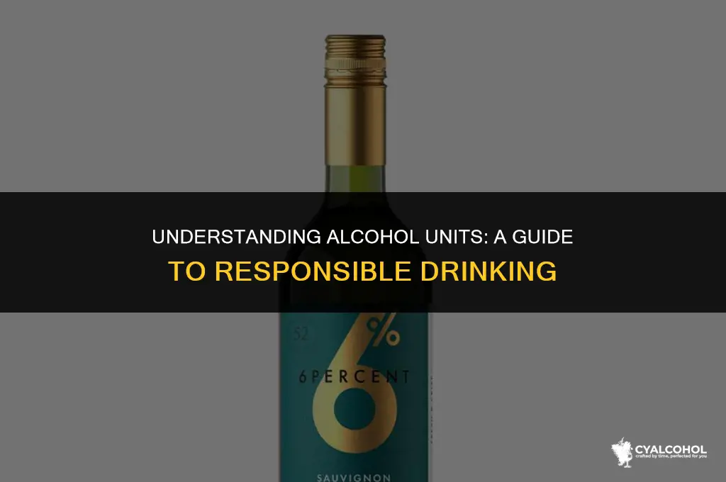 what is 6 units of alcohol