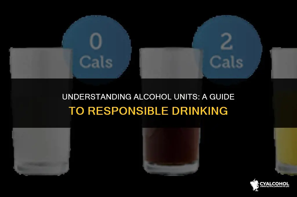 what is 60 units of alcohol