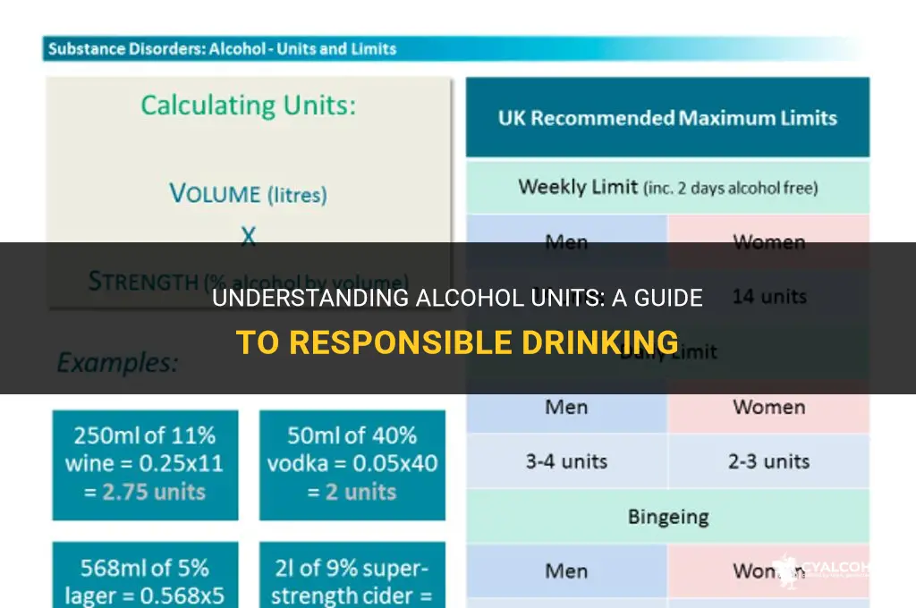 what is 8 units of alcohol
