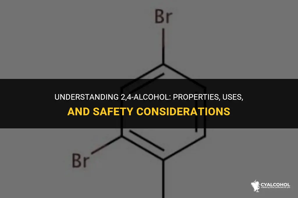 what is a 2 4 alcohol
