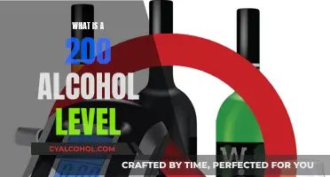 Understanding the Implications of a 0.200 Blood Alcohol Level