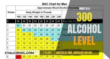 Understanding the Effects and Risks of a .300 Blood Alcohol Level