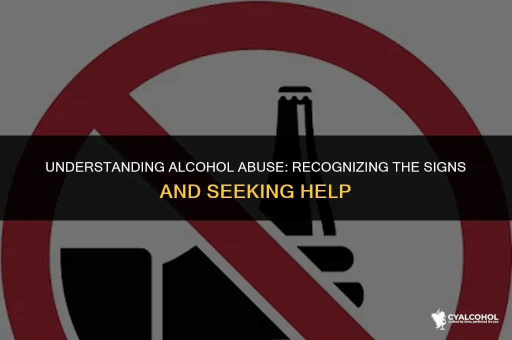what is a alcohol abuse problem