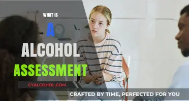 Understanding Alcohol Assessments: Purpose, Process, and Importance Explained