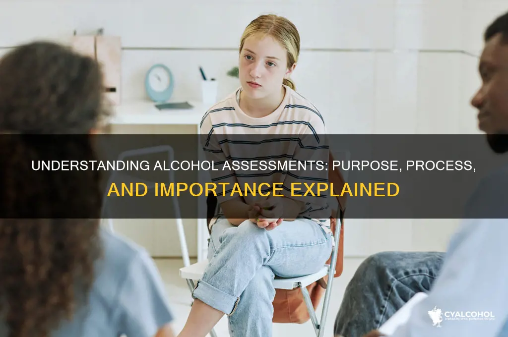 what is a alcohol assessment