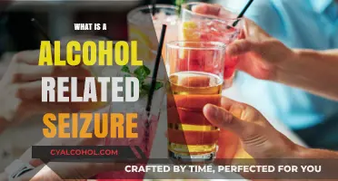 Understanding Alcohol-Related Seizures: Causes, Symptoms, and Treatment
