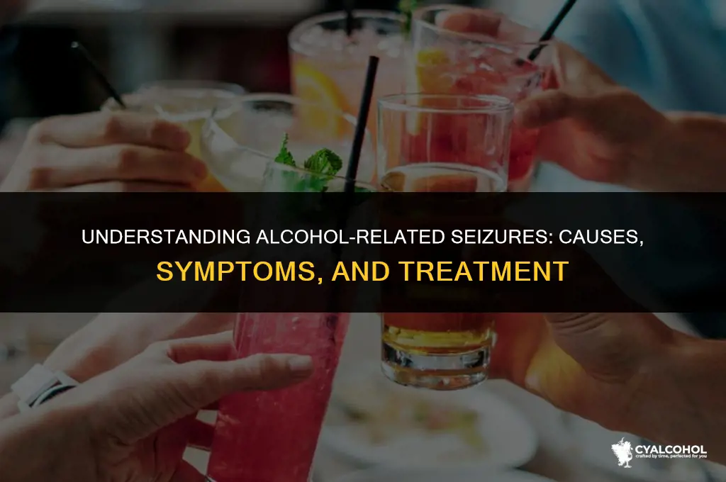 what is a alcohol related seizure