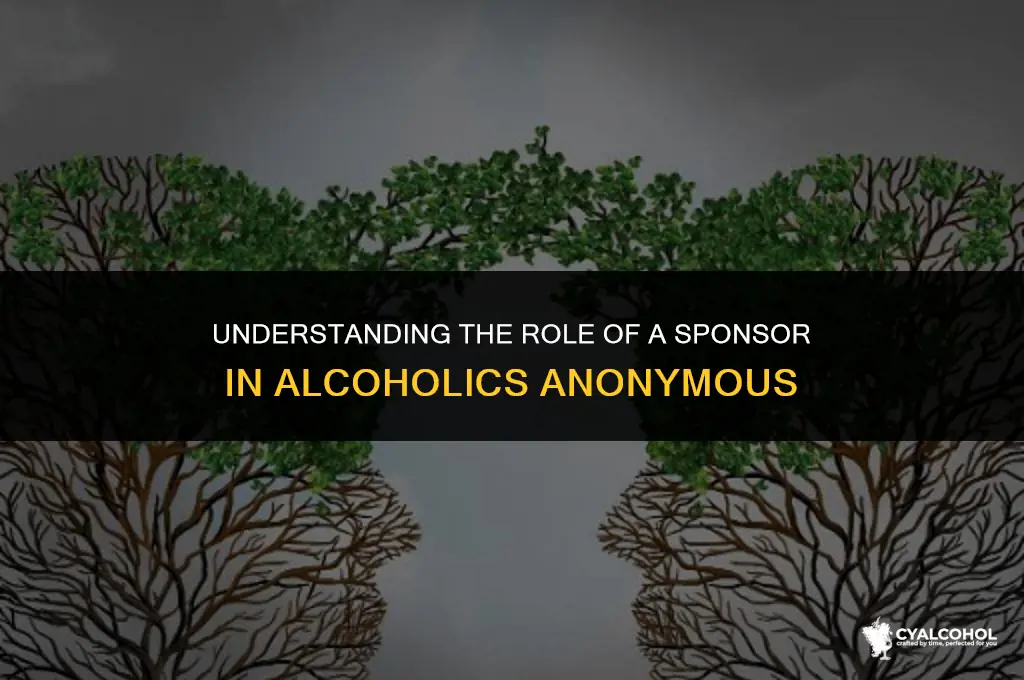 what is a alcoholic anonymous sponsor