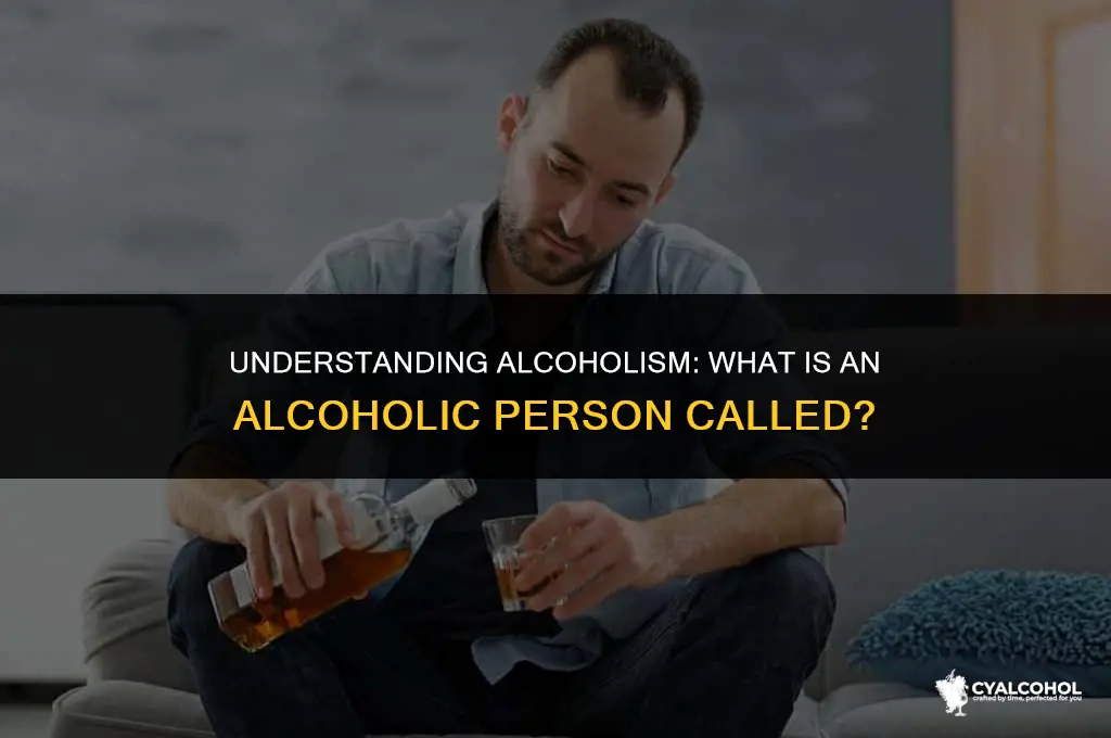 what is a alcoholic person called