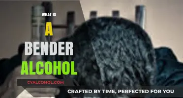 Understanding the Risks and Effects of a Bender Alcohol Episode