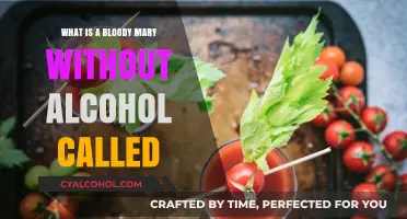 Virgin Mary: The Non-Alcoholic Twist on a Classic Bloody Mary
