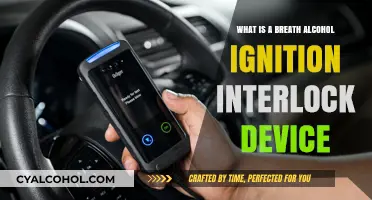 Understanding Breath Alcohol Ignition Interlock Devices: How They Work and Why