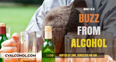Understanding the Buzz: Alcohol's Effects on the Body and Mind