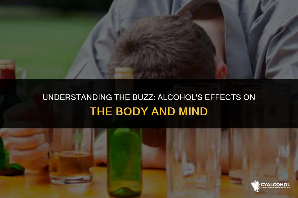 what is a buzz from alcohol