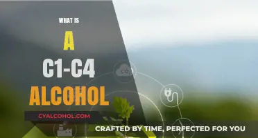 Exploring the Properties and Uses of C1-C4 Alcohols