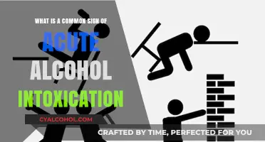 Alcohol Intoxication: A Common Sign You Should Know
