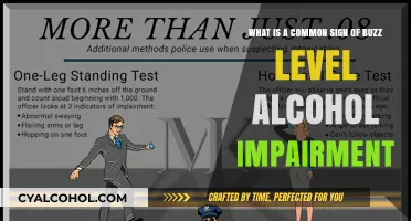Buzzed Driving: A Sign of Alcohol Impairment