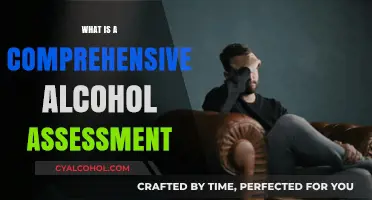 Understanding Comprehensive Alcohol Assessments: A Guide to Evaluation and Treatment