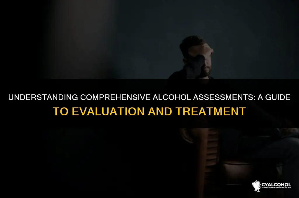 what is a comprehensive alcohol assessment
