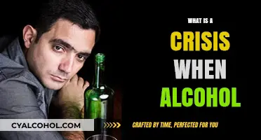 Understanding Alcohol Crisis: Signs, Risks, and Recovery Strategies